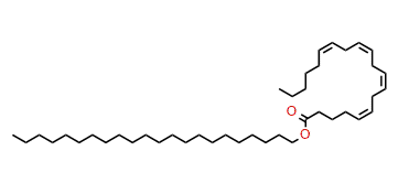 Docosyl (Z,Z,Z,Z)-5,8,11,14-eicosatetraenoate